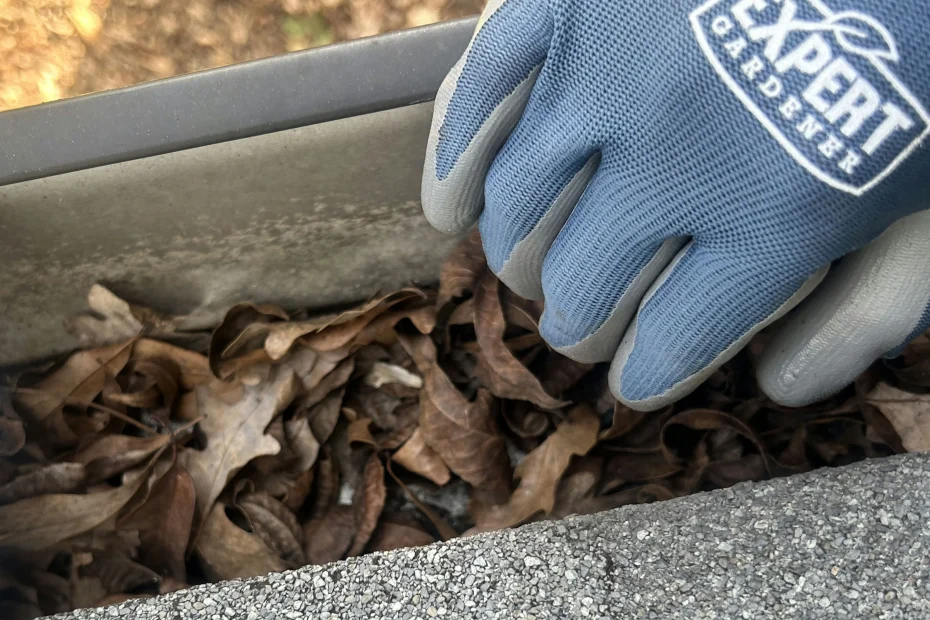 Gutter Cleaning Biscayne Park FL