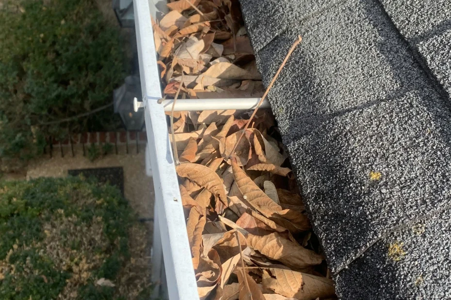 Gutter Cleaning Biscayne Park FL