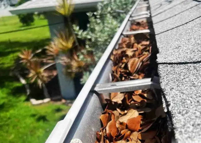 Gutter Cleaning Biscayne Park FL home page